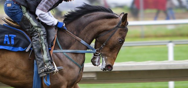 As melhores dicas de apostas em corridas de cavalo